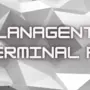 29 октября 2008 -вышла LanAgent Terminal RC