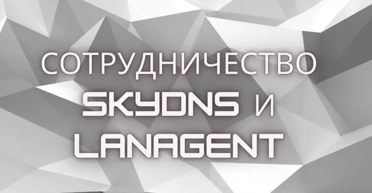 Сотрудничество SkyDNS и LanAgent