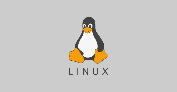 Программа слежения за компьютером под Linux